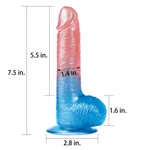 Dildo Dazzle Studs 19cm sa vakuumskim postoljem i testisima, plavi/crveni
