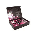 Shunga Naughty Kit - Set za erotsku uživanciju za parove