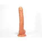 X-MEN Harry's 30cm Realistični Dildo sa Testisima i Suvakuumskim Postoljem